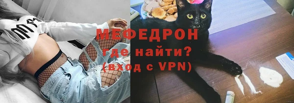 индика Аркадак