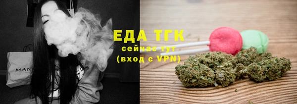 индика Аркадак