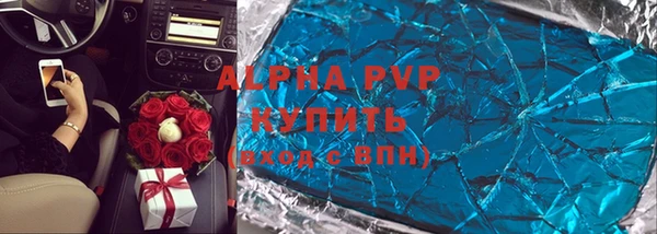 индика Аркадак