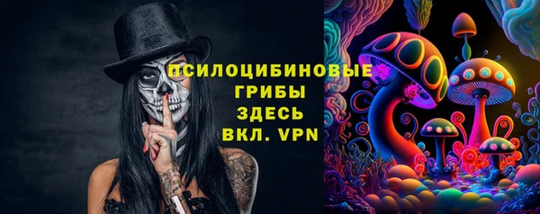 индика Аркадак