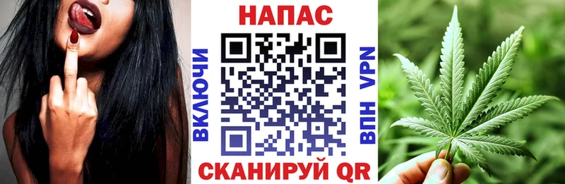 цены   Пугачёв  Каннабис конопля 